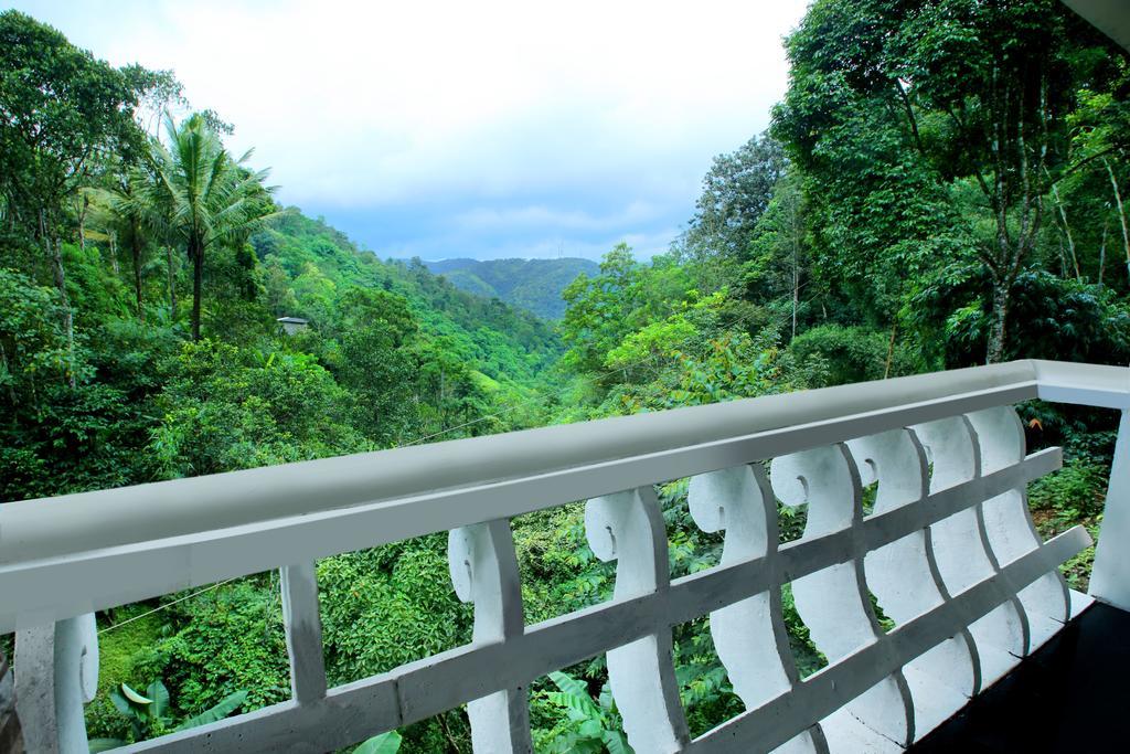 Spring And Valley View Thekkady Habitación foto