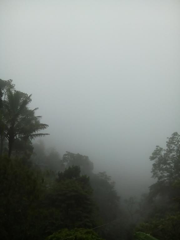 Spring And Valley View Thekkady Exterior foto