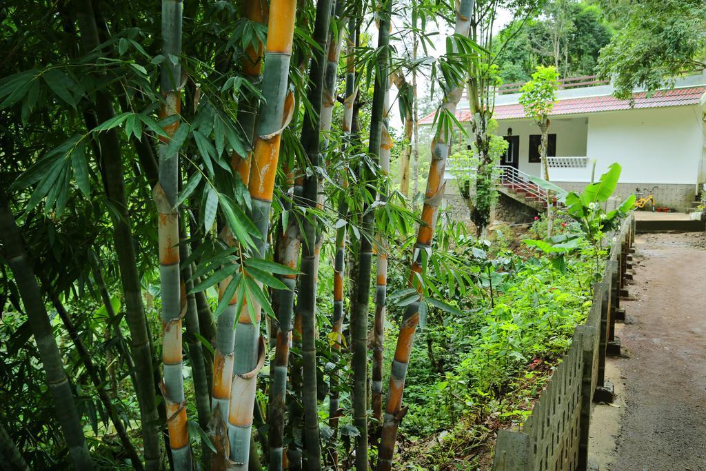 Spring And Valley View Thekkady Exterior foto